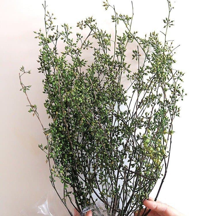 Flores Preservadas de Yunnan Kunming, Material Floral por Atacado, Fruta Xiaomi, Acessórios para Caixa de Presente de Fl