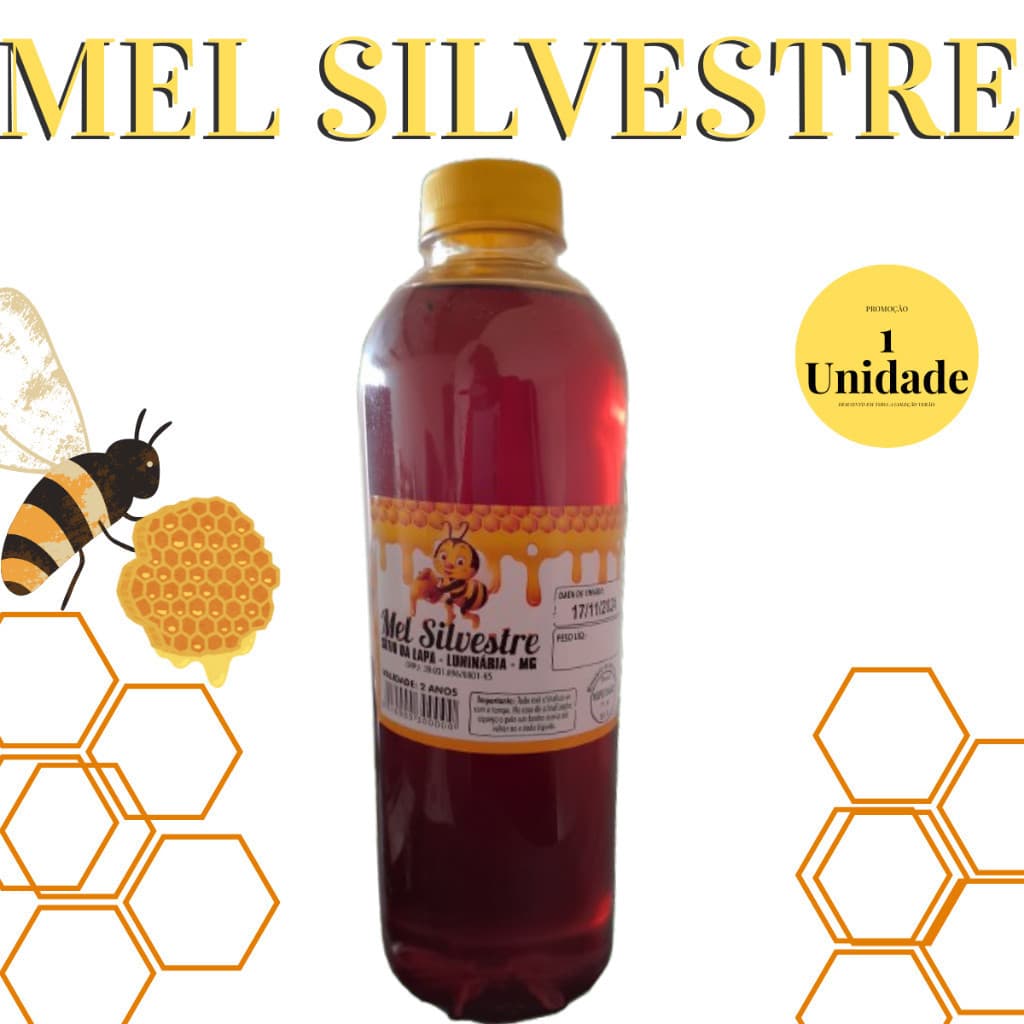 Promoção Relampago 1 Unidade Mel Garrafa Plástico Abelha Silvestre 1,3 kgs