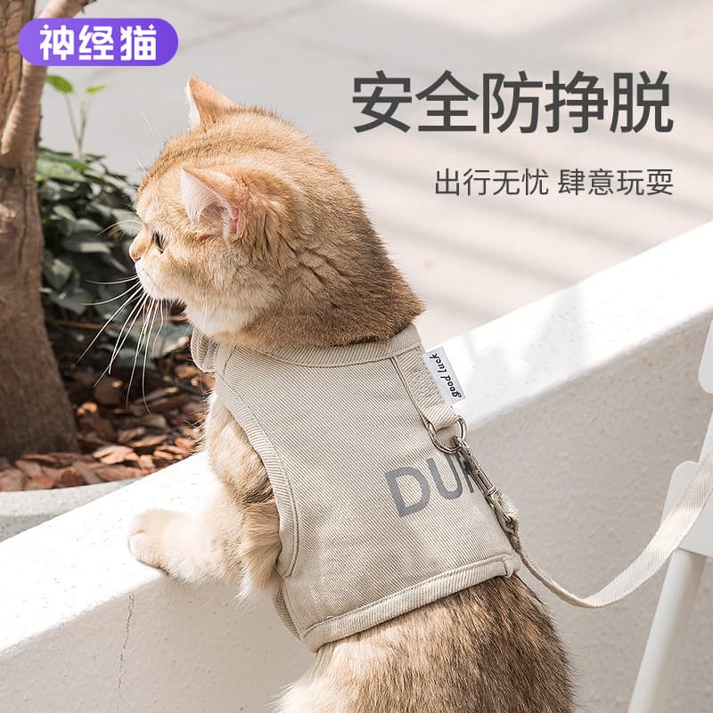 Gato tração corda colete estilo All-Match corda Anti-quebra bonito passeio gato tração corda gato andando corda cão anda
