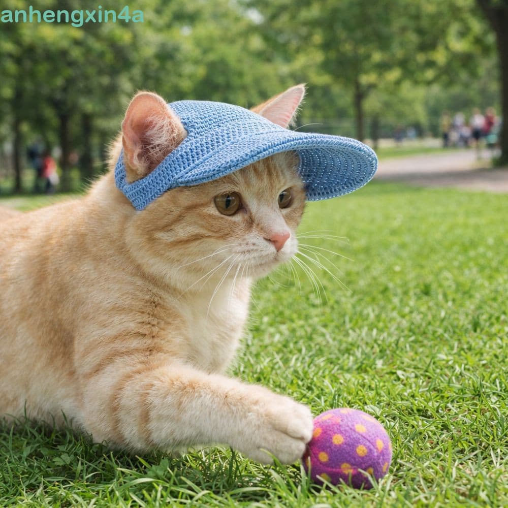 Chapéu Com Viseira Para Cachorro ANHENGXIN , De Sol Ajustável Respirável Animais De Estimação , Boné De Beisebol Proteçã