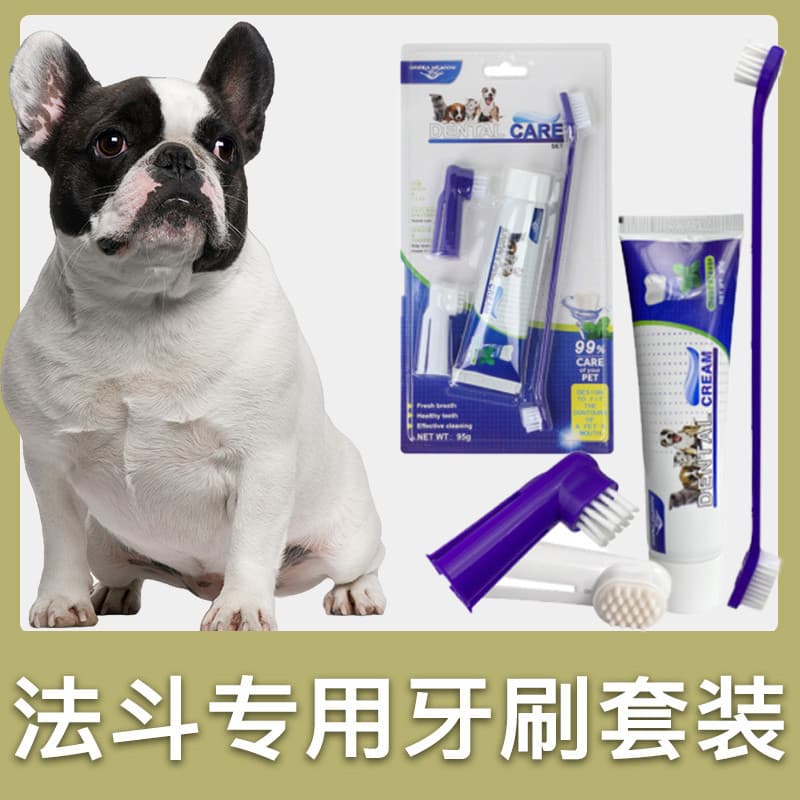 Conjunto especial de escova de dentes de buldogue francês para cães, pasta de dente para animais de estimação, ferrament