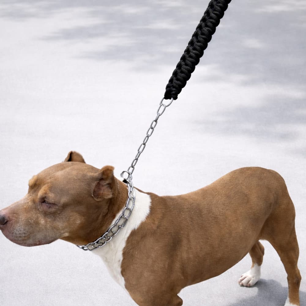 Guia Enforcador em Corrente Reforçada Ajustável ao Pescoço | Controle Total para Cachorros Fortes - American Bully