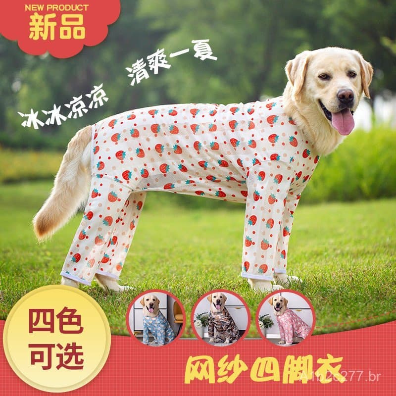Roupas leves para cães de grande porte, como Golden Retrievers e Labradores, adequadas para a primavera e o verão, com p