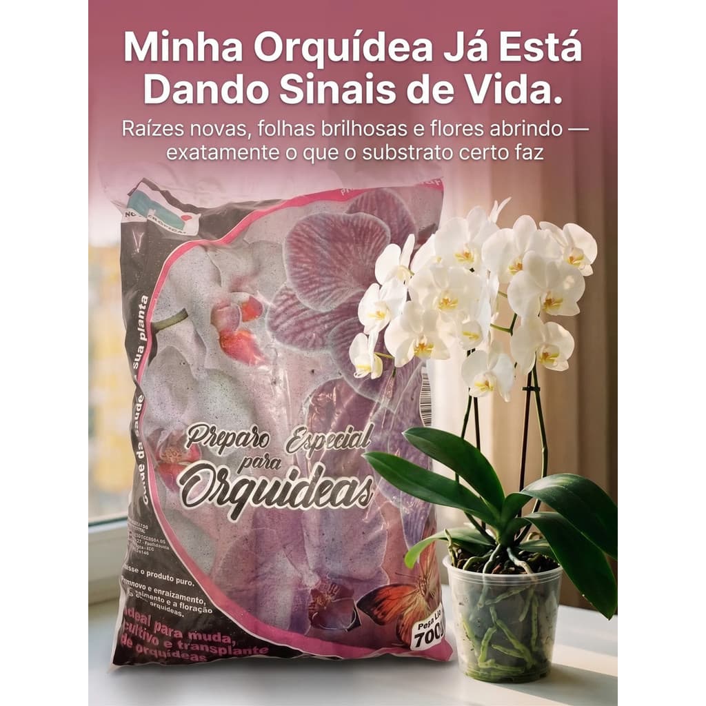 Substrato Composto Preparo Especial Terra Para Orquídeas