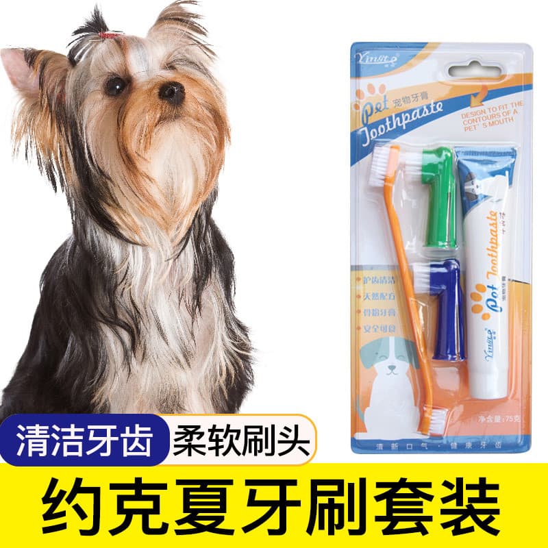 Yorkshire escova de dentes especial para cães, conjunto de pasta de dente para animais de estimação, suprimentos de limp