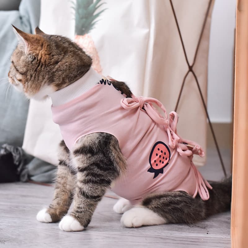 Roupas de esterilização para gatos Roupas cirúrgicas Roupas de desmame Pano de algodão Roupas fisiológicas respiráveis R