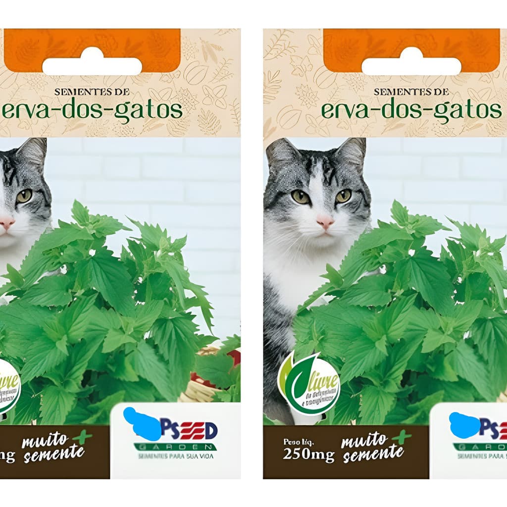 1000 Sementes de Erva dos Gatos Catnip (Nepeta Cataria) para Plantio em Casa | Jardinagem e Pets