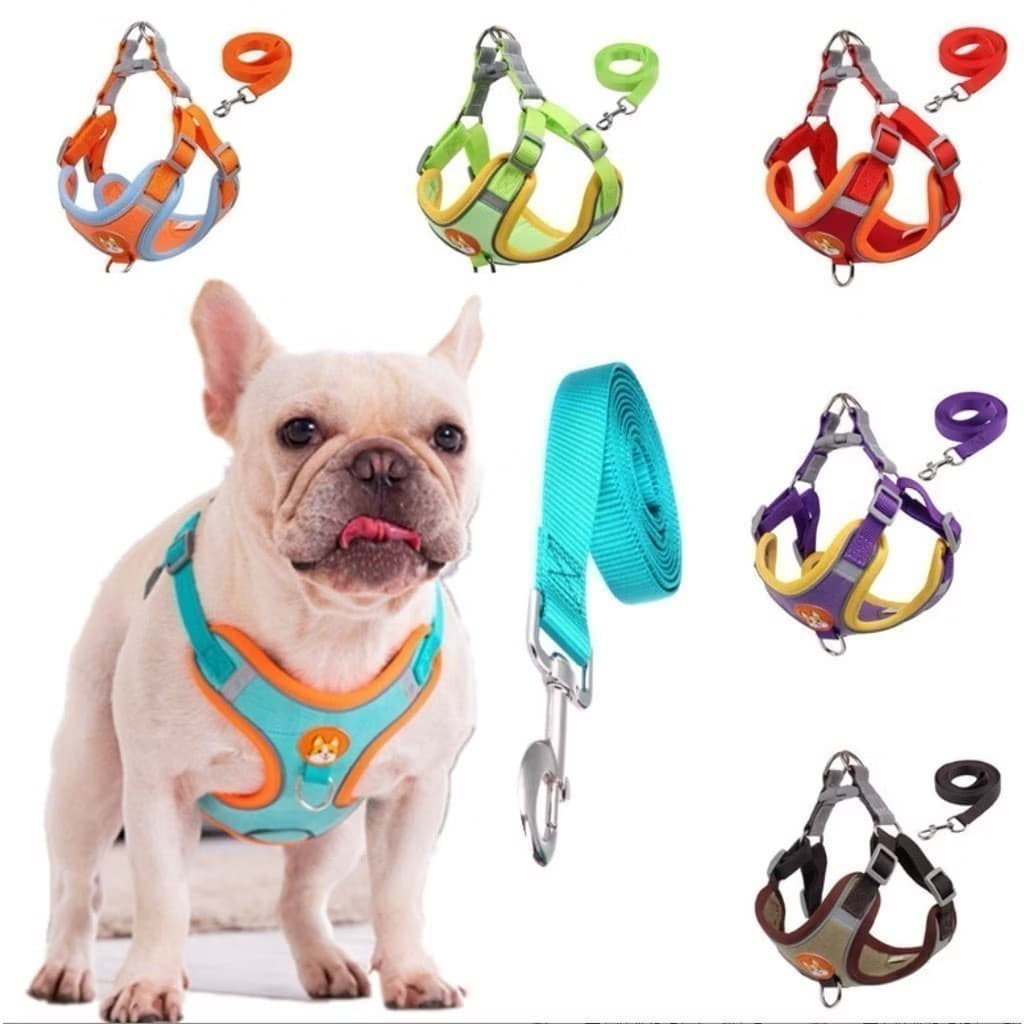 Coleira Peitoral Cachorro E Gato, Conjunto De Guia + Coleira Tipo Colete Para Pet Pequenos E Médios Envio Super Imediato