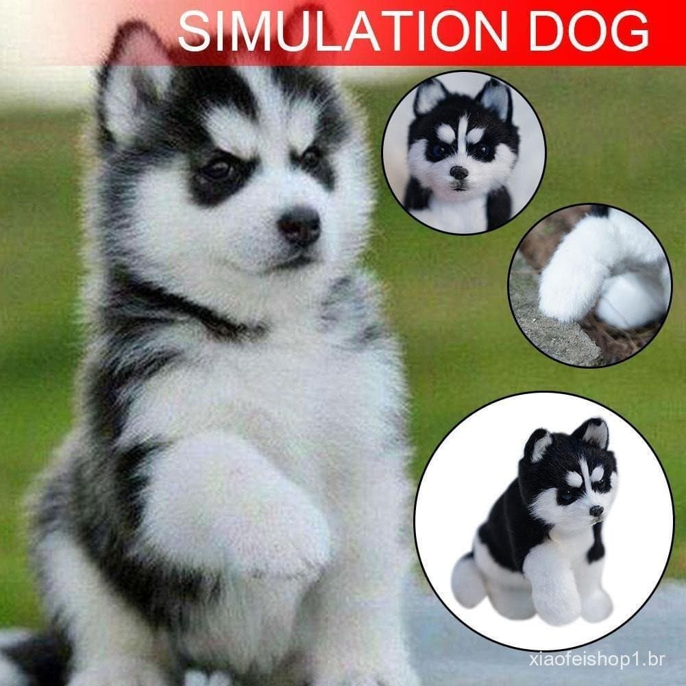 Mini Simulação Cachorro De Estimação Gato Gatinho Recheado Brinquedos Husky Teddy Bomei Labrador Boneca Persa