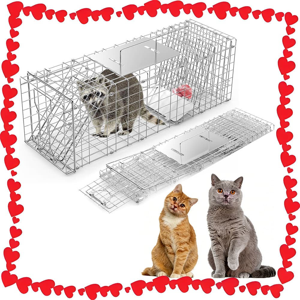 Armadilha para animais vivos - Não é necessário montar - Armadilhas seguras para todos os animais - Guaxininins, gatos
