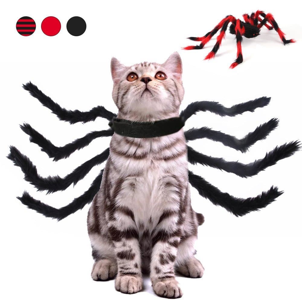 Fantasia criativa de aranha para Halloween e Natal para gatos, cães e cães pequenos.