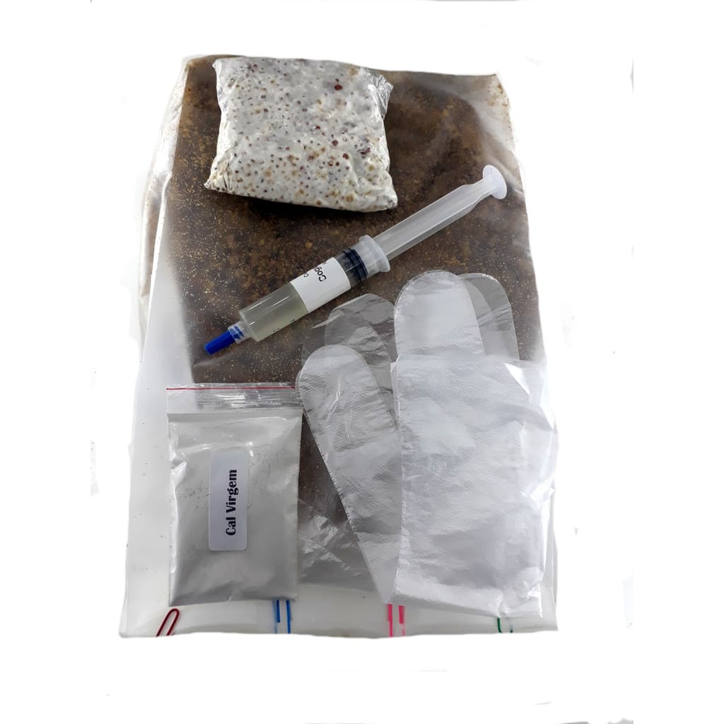 3 kits completo de Semente de Cogumelo Produz 3kg