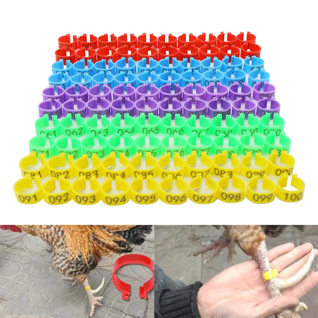 100 Peças Anéis De Pé De Frango Diâmetro Interno 16mm 6 Cores Anel De Faixa De Perna Para Aves Ganso