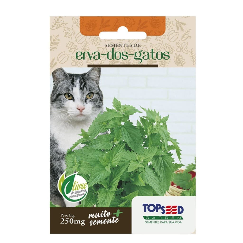 Sementes De Erva dos Gatos Tradicional 250mg