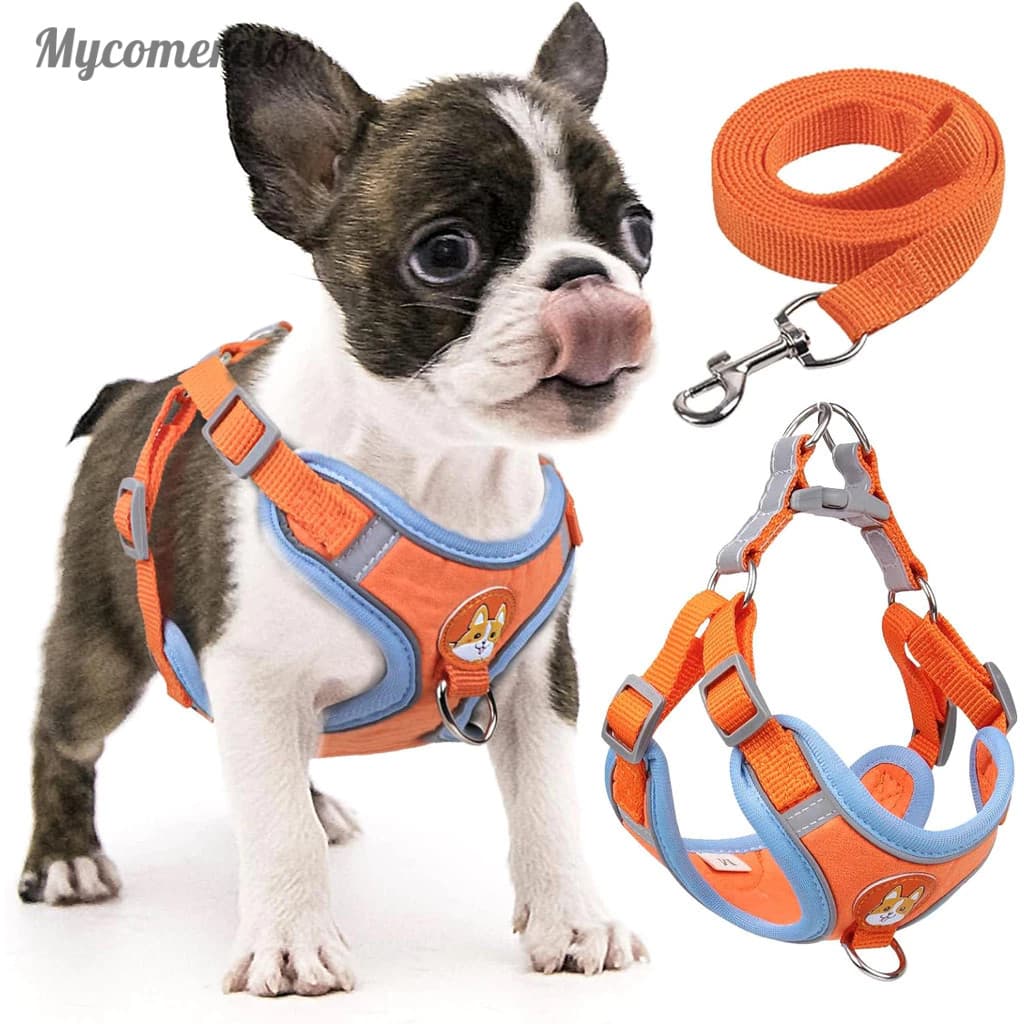 Coleira Peitoral coleira para cachorro com guia para pet pequenos e médios colete confortável  Envio Imediato