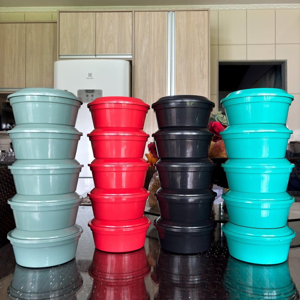 Jogo 10 Potes de 1 Litro de plastico para Frezzer com cores variadas