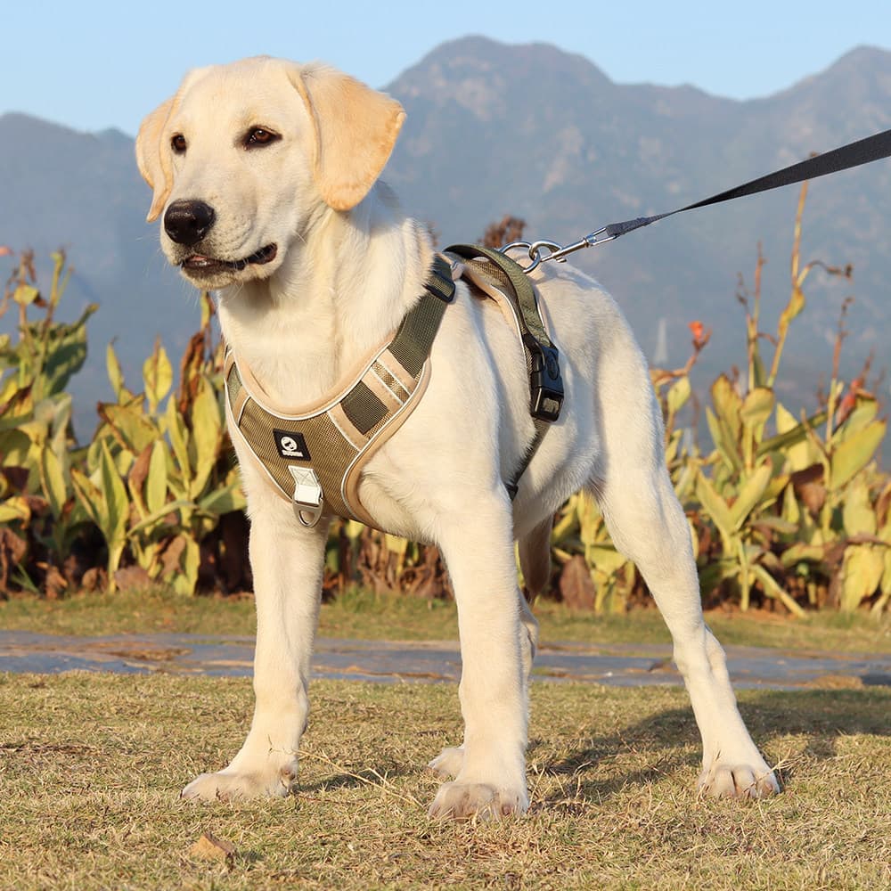 Arnês Resistente para Cães Grandes, Colete Refletivo Ajustável para Animais de Estimação, Arnês de Treinamento Sem Puxad