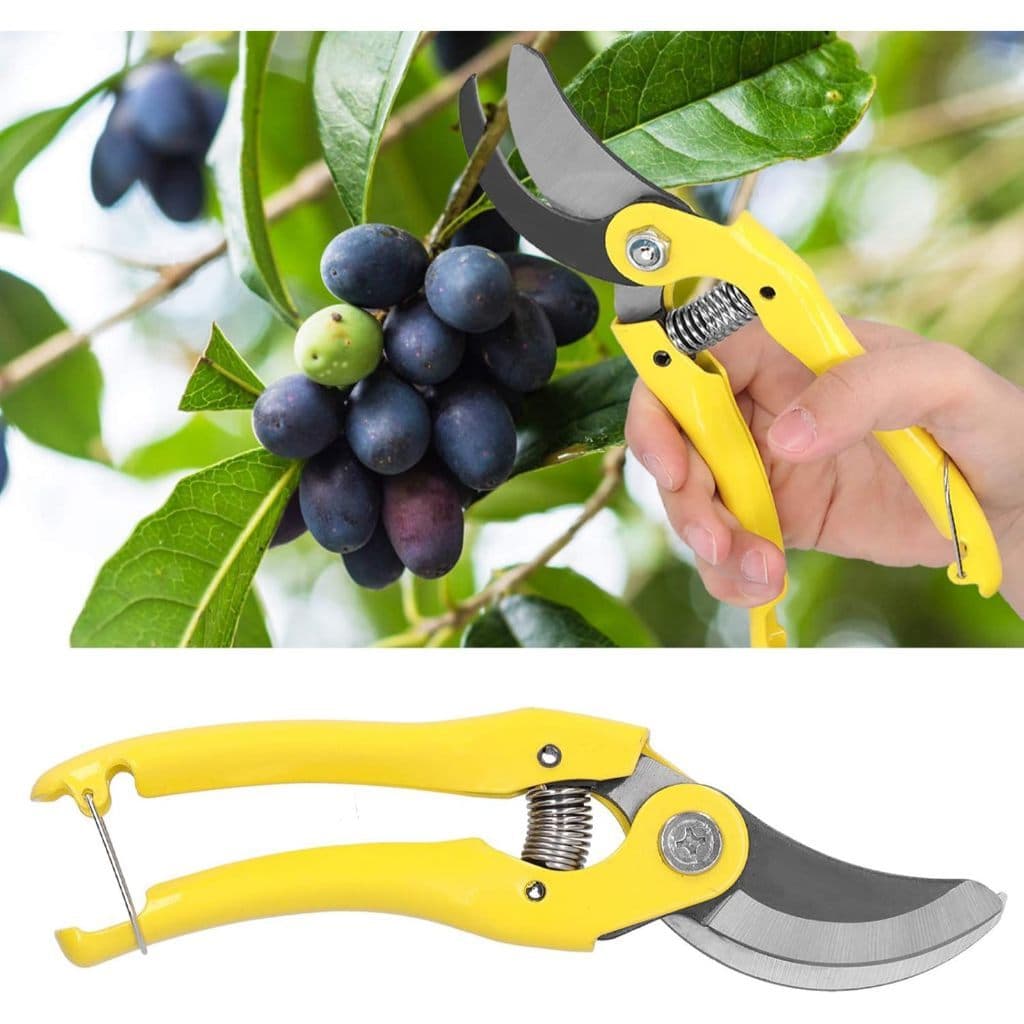 Tesoura de Ramos Jardinagem Tesoura de Poda Tesoura Super Afiada para Jardinagem