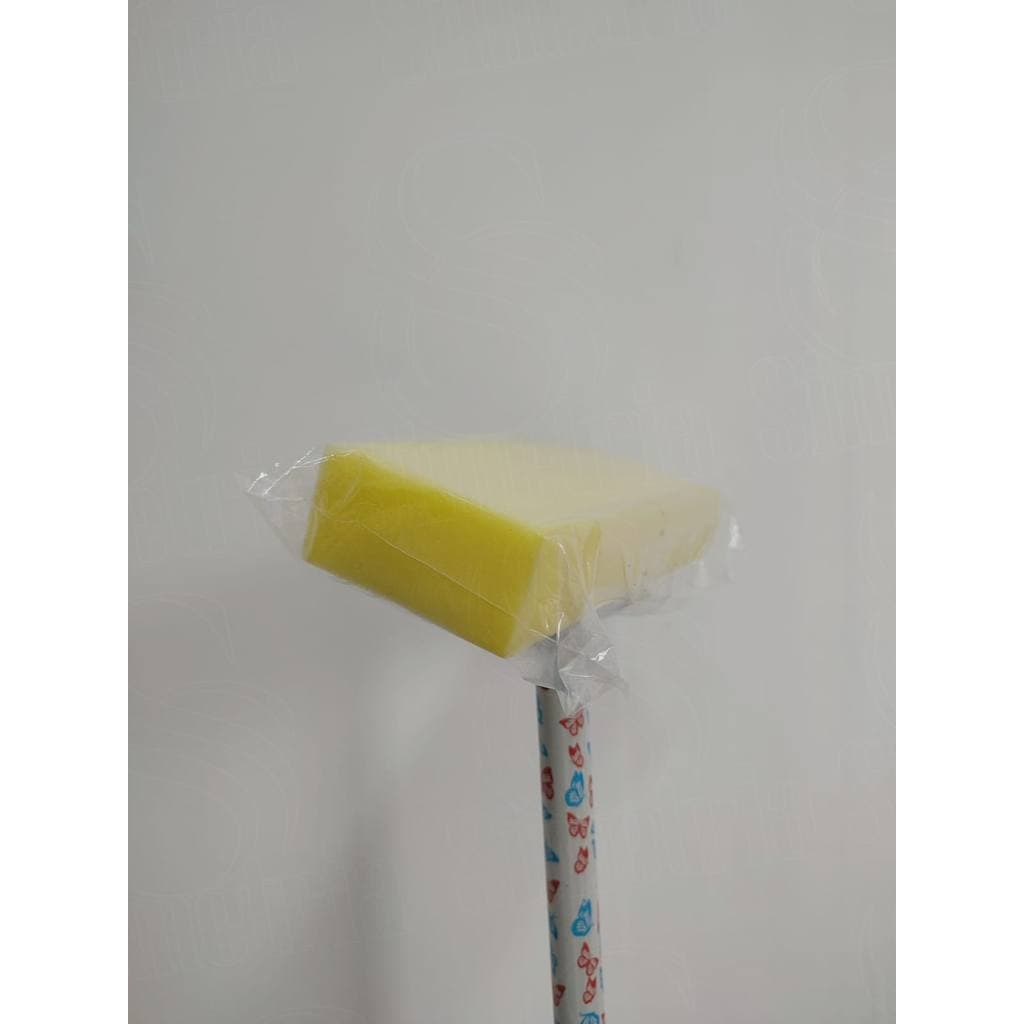 PASSA CERA / LAVA PISO / ESPONJA SEM CABO (SEM FIBRA)