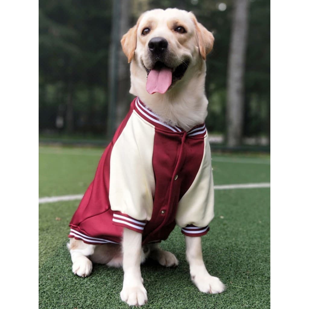 Uniforme de beisebol roupas para animais de estimação médio grande cão Golden Retriever Labrador roupas para cães outono