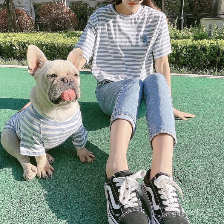 Novas Roupas de Verão para Animais de Estimação: Camisetas para Cães, Conjuntos para Pais e Filhos de Animais de Estimaç