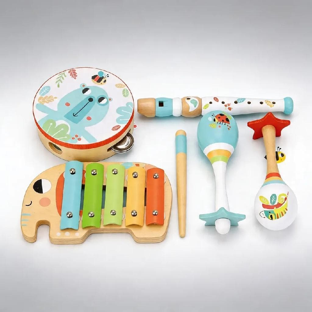 Kit Instrumentos Musicais Infantil Caixa Musical Animais em Madeira - Tooky Toy