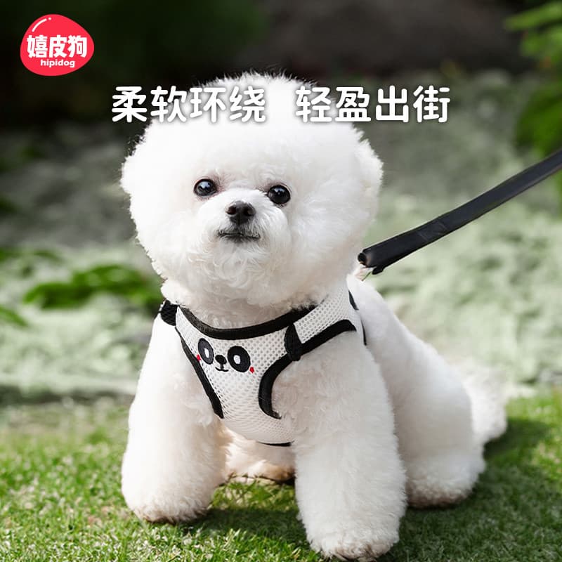 Colete estilo coleira para cachorro pequeno Teddy Bichon Pomeranian filhote de cachorro cinta peitoral corrente para cac