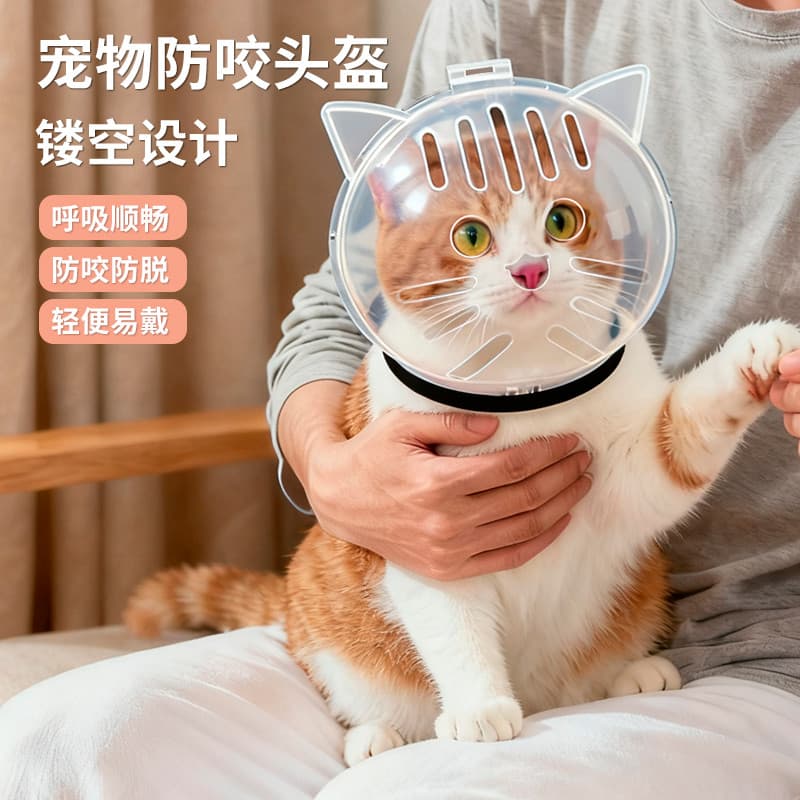Coleira para cachorro e gato, filhote de cachorro, gato, colar, coleira para cachorro, Elizabeth