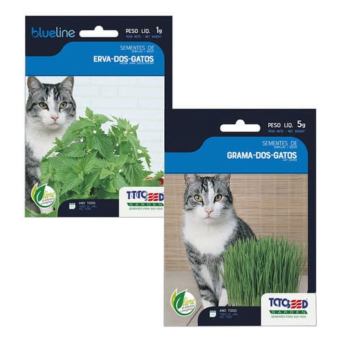 Kit Sementes Grama + Erva De Gato Ou Cachorro Catnip