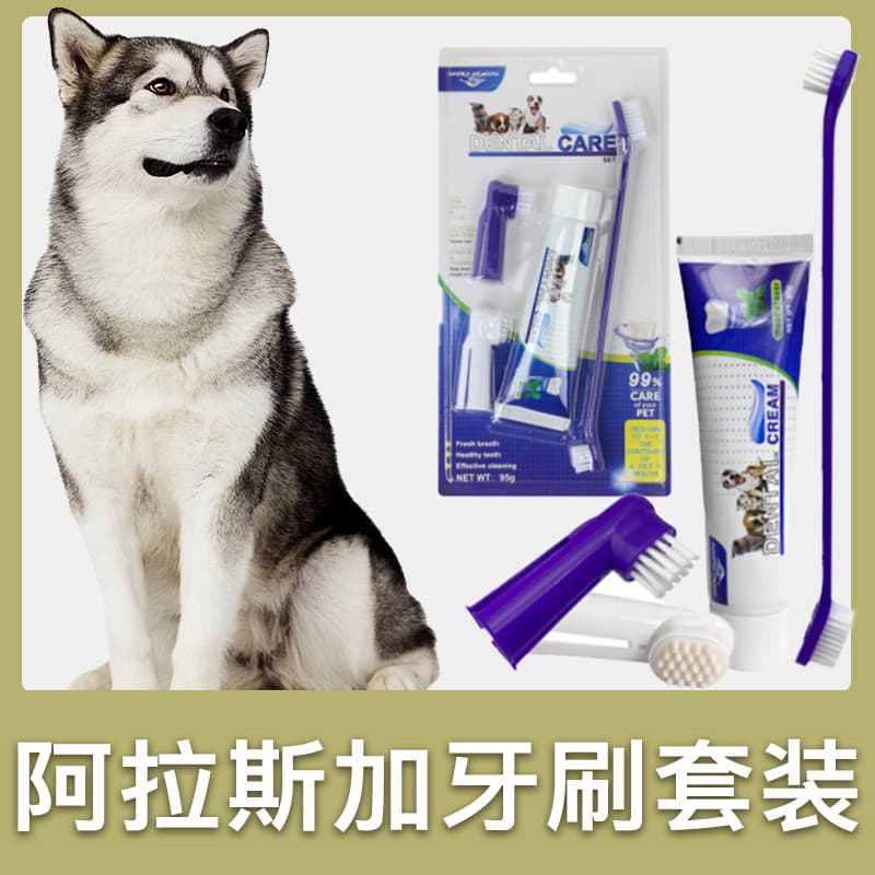 Alasca conjunto especial de escova de dentes para animais de estimação, escova de dentes, ferramentas para limpeza de de