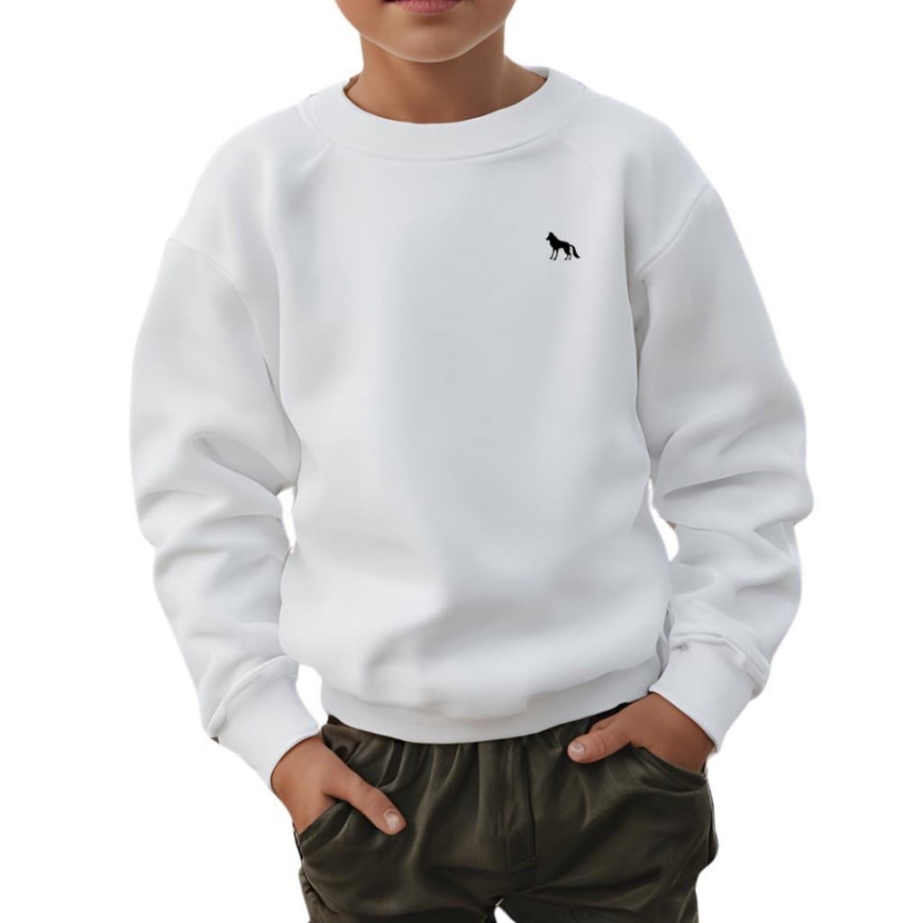 Moletom Infantil Gola Careca Frio Qualidade Lançamento
