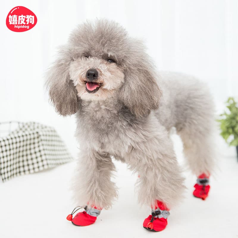 Sapatos para cães quatro estações cães pequenos cães respirável sapatos de sola macia Teddy Bichon Pet sapato capa pé an