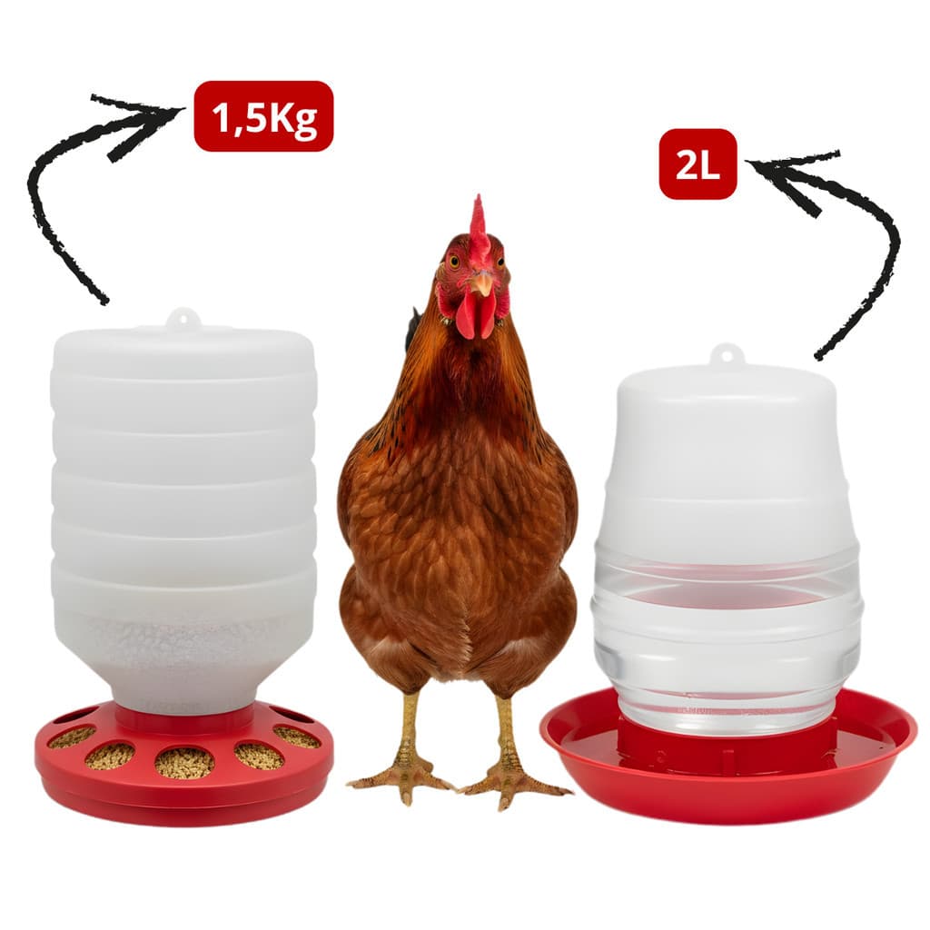 Kit Comedouro e Bebedouro para Pintinhos, Codornas e Frangos