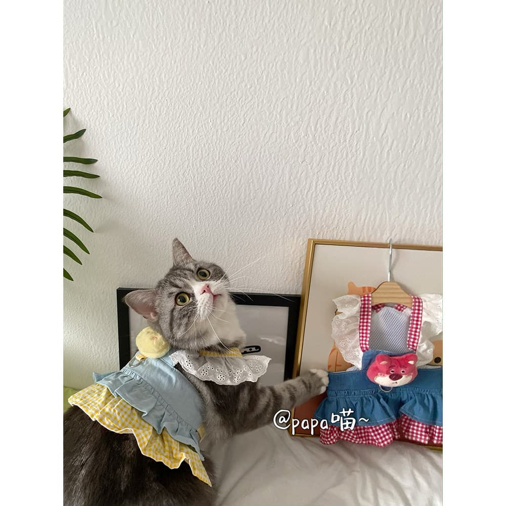 [pa miau] morango urso gato boneca cão peito volta tração roupas cão andando corda cinta peito Anti-quebra