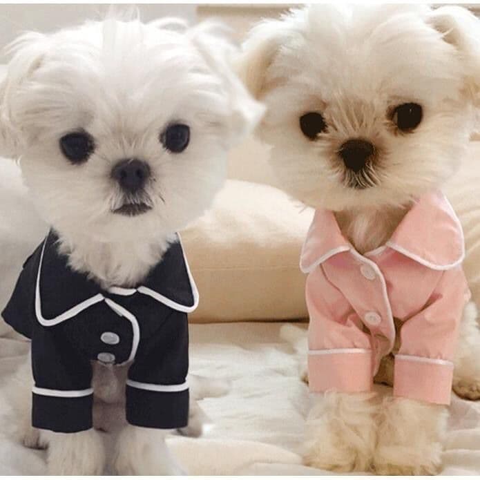 Roupas para cães verão estilo fino ar condicionado quarto pijamas Teddy Bichon Corgi pequeno cão de tamanho médio animal