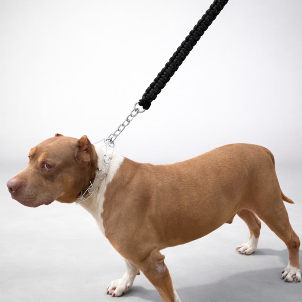 Guia Reforçada para Cães + Coleira Prong Collar com Pino Regulável | Ideal para Cachorro Grande e Forte - American Bully