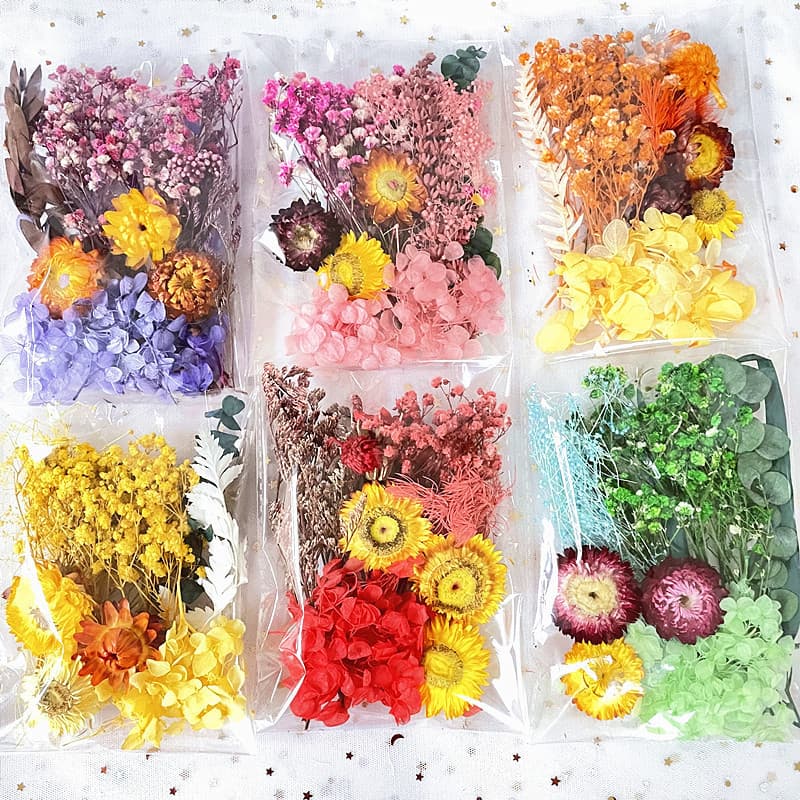 Kit de materiais para sabonete artesanal com flores secas, flores secas eternas embaladas para pintura, leques, cartões