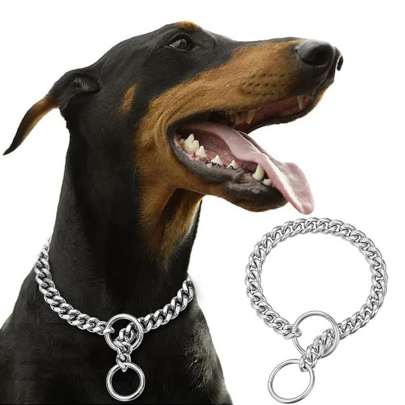 Colar para Cães em Aço Inoxidável Dourado de 10mm, Corrente P, Coleira de Aço Titânio, Acessórios para Animais de Estima