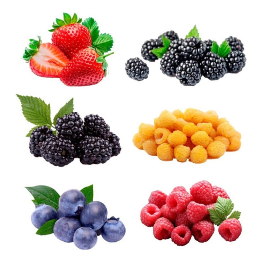 Kit 200 Sementes Frutas Vermelhas: Amora + Framboesa + Morango Grande + Mirtilo | Para Plantio e Horta