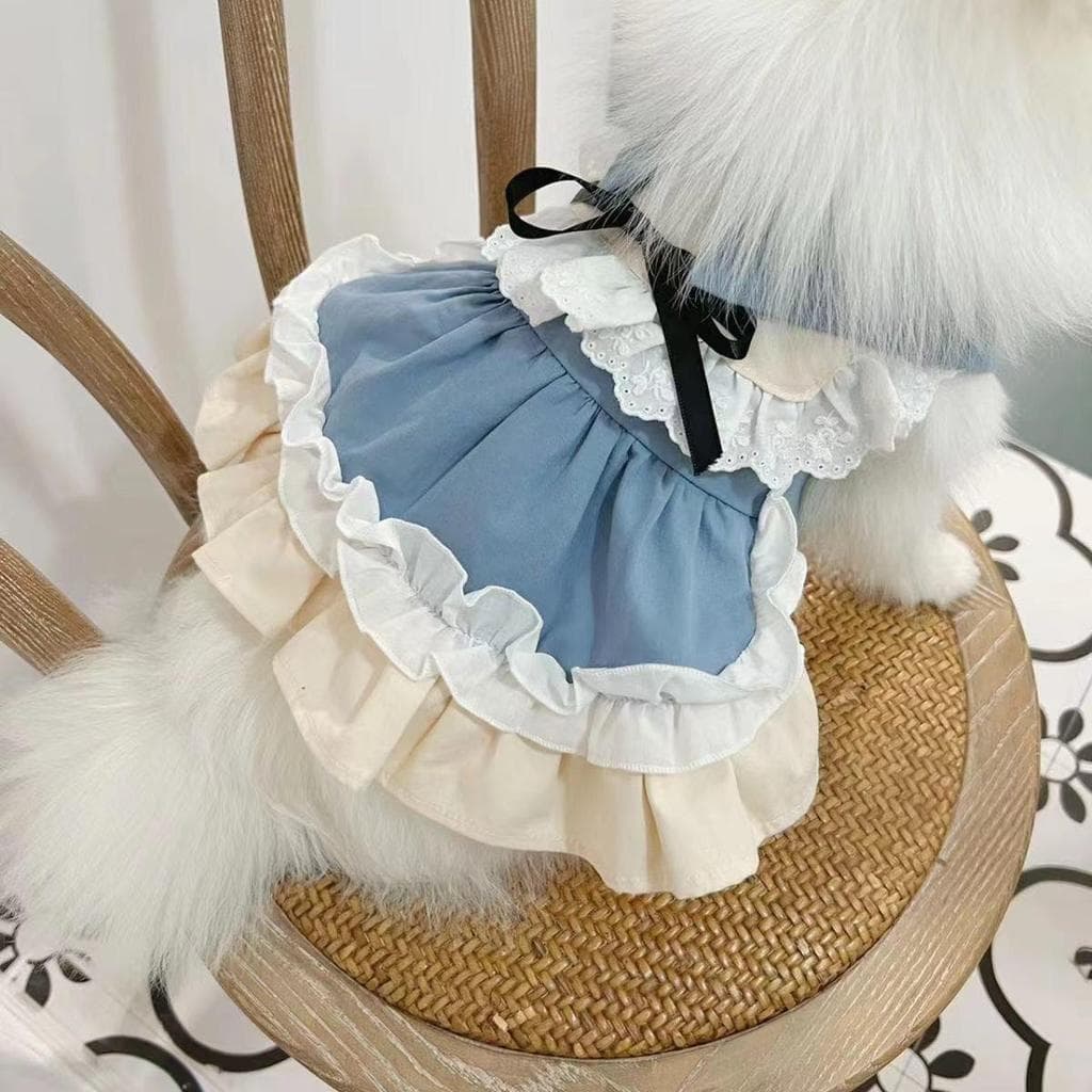 INS primavera verão bonito empregada Pet saia de renda cão Bichon Teddy gato pequeno roupas para cães