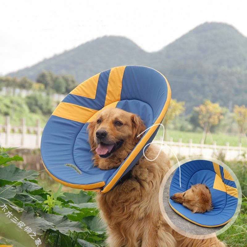 Coleira Elizabeth para cachorro, coleira média e grande, Golden Retriever, Satsuma, vergonha, Anti-lamber, coleira de es