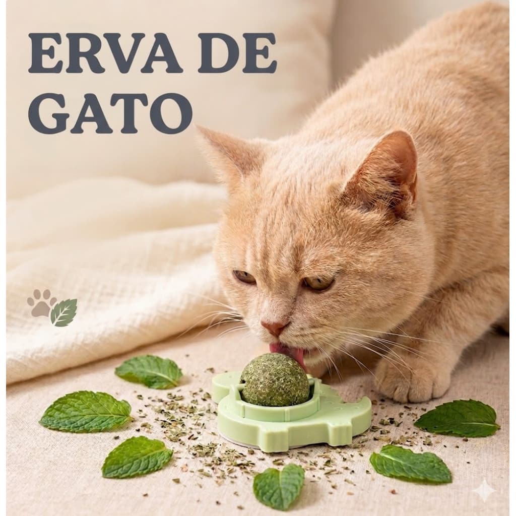 Bolinha de Catnip Erva de Gato Natural Brinquedo Interativo Mordedor Petisco Menta para Gatos