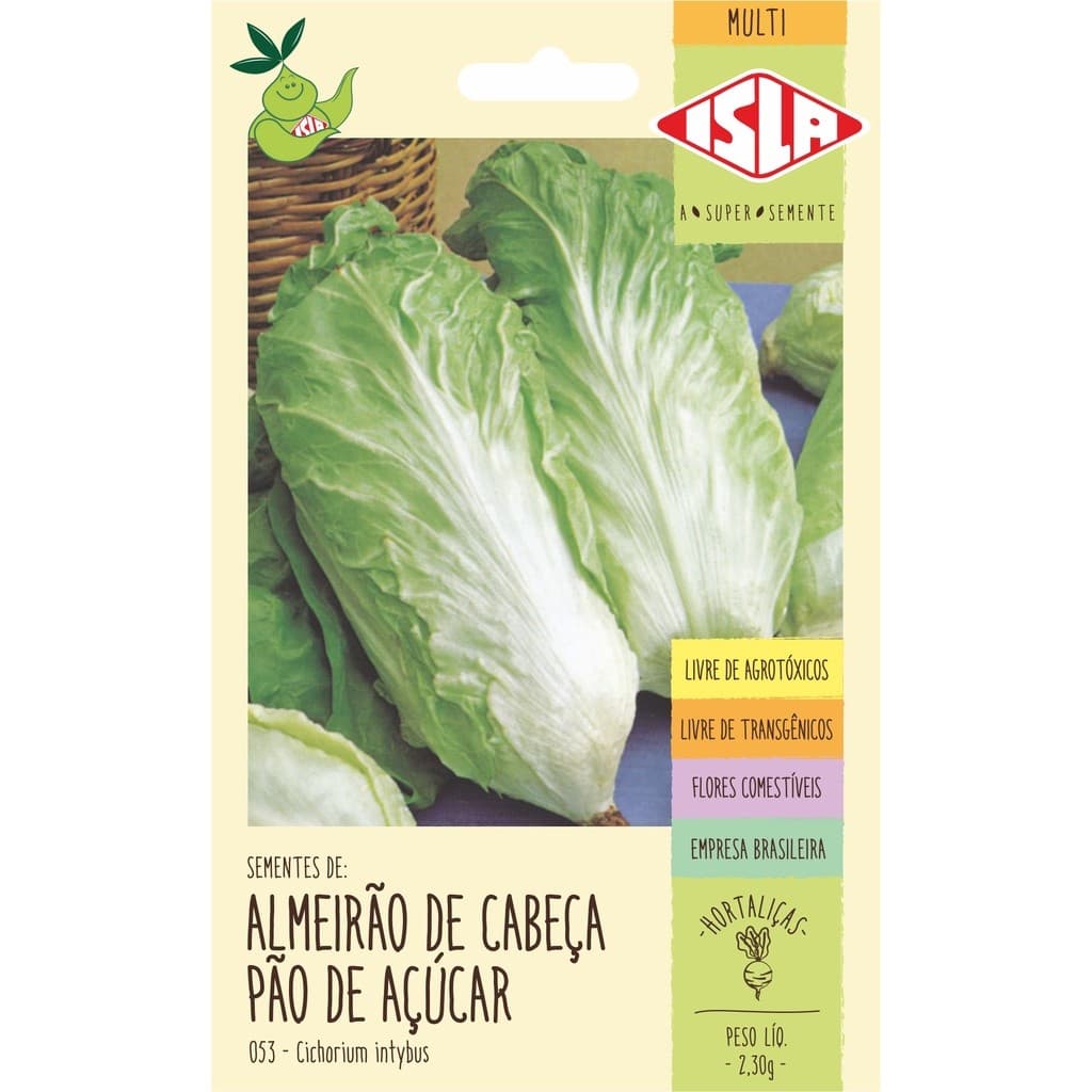 Sementes De Almeirão De Cabeça de Pão De Açúcar