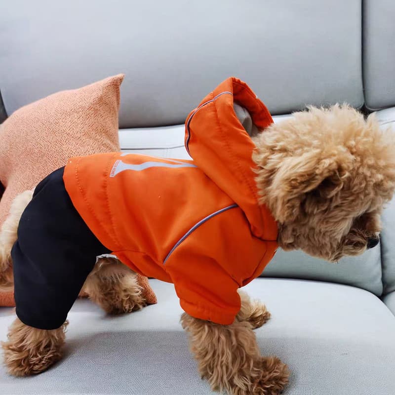 Roupas para cães de outono e inverno com capuz, esses trajes de quatro patas são à prova de vento e perfeitos para filho