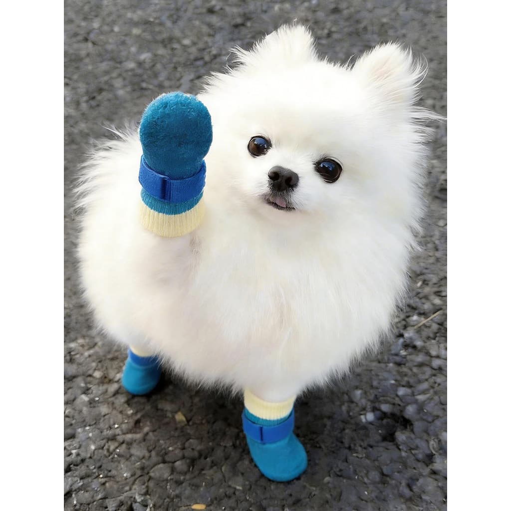 Sapatos para cães à prova d'água antiderrapante capa de sapato pequeno cão Teddy Bichon filhote de cachorro botas de chu