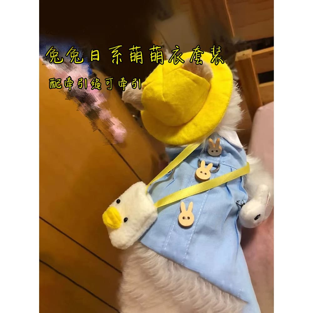 Roupas de coelho roupas de coelho roupas de coelho de estimação estilo japonês roupas estilo Preppy terno coelho usar ro