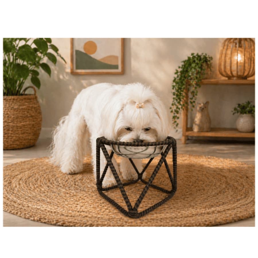 Comedouro Pet Bebedouro E Comedouro Para Cão Ou Gato Tam M Tabaco