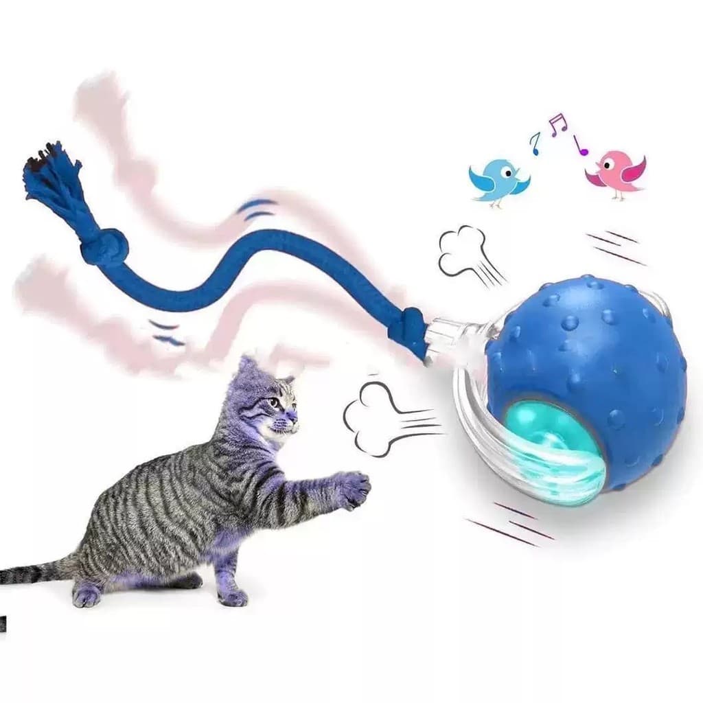 Gato de estimação cão brinquedo bola provocando gato bola pet auto-feliz tédio alívio brinquedo suprimentos para animais