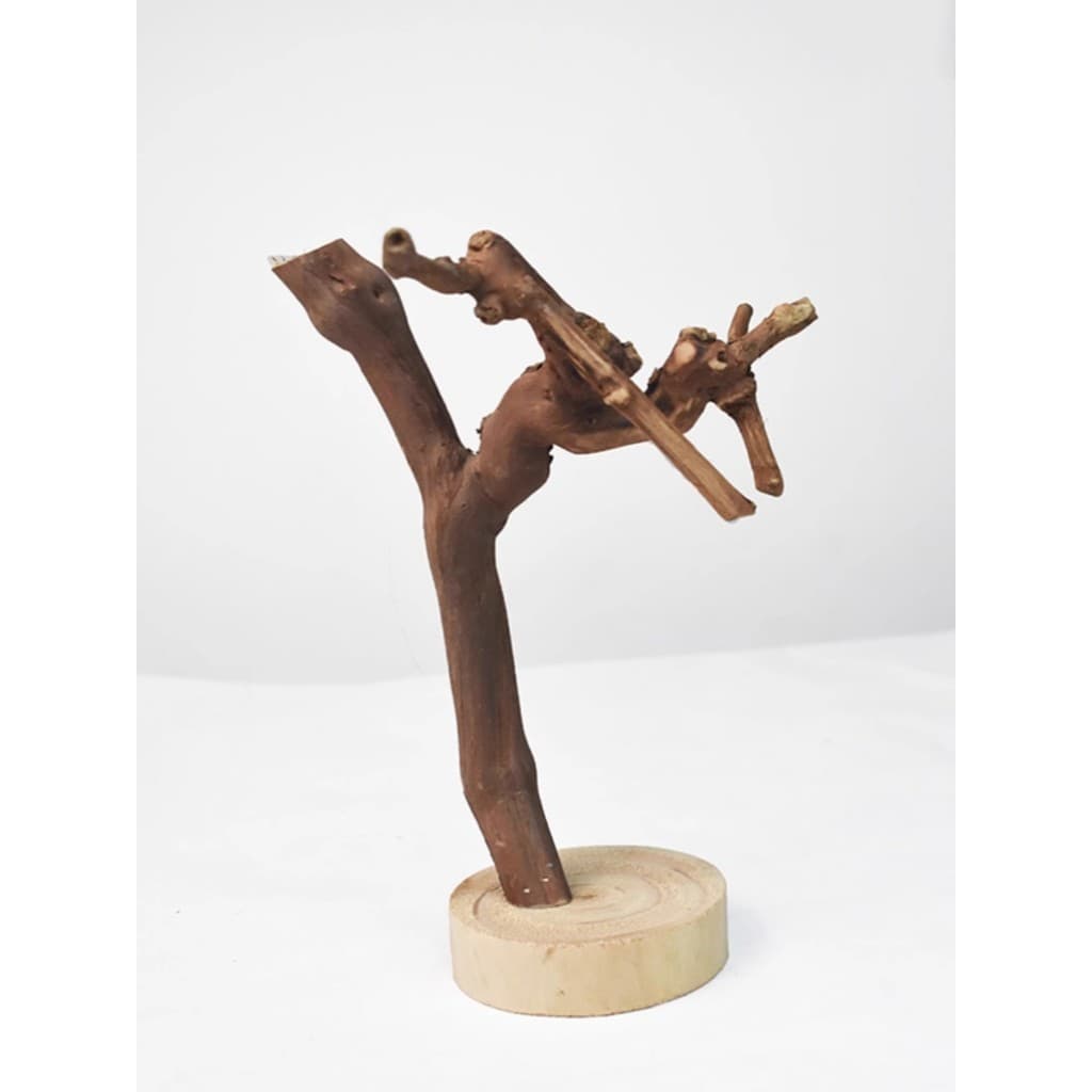 Ramo de tronco com suporte inferior ornamentos estante sala estar mesa café decoração artesanal Natural jogar jóias supo