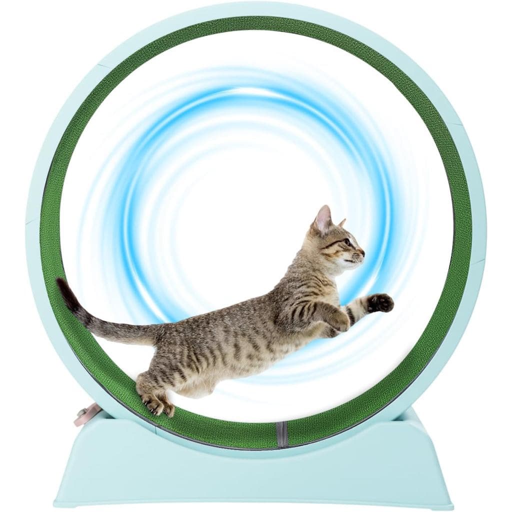 Roda de Exercício para Gatos VINGLI, Esteira para Gatos de Interior de 31 polegadas, Roda de Corrida para Gatos com Pist